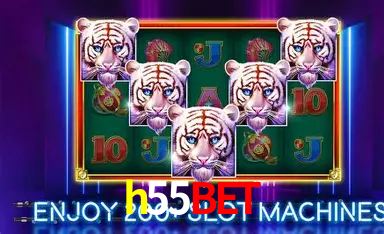 Descubra o Mundo do Cassino Online com h55bet